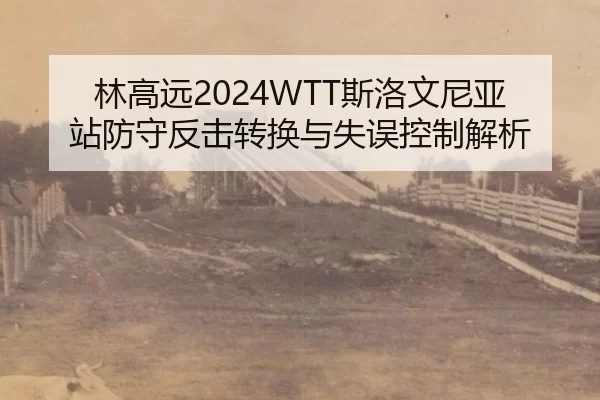林高远2024WTT斯洛文尼亚站防守反击转换与失误控制解析