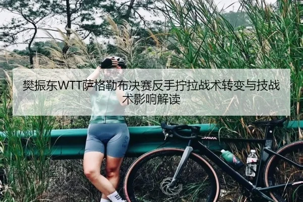 樊振东WTT萨格勒布决赛反手拧拉战术转变与技战术影响解读